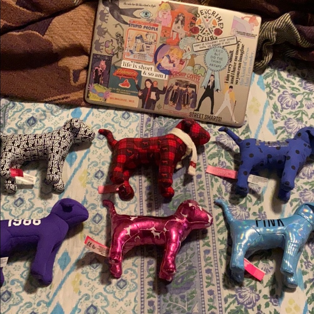 Victoria Secret PINK dogs!